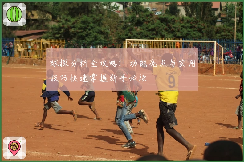 球探分析全攻略：功能亮点与实用技巧快速掌握新手必读