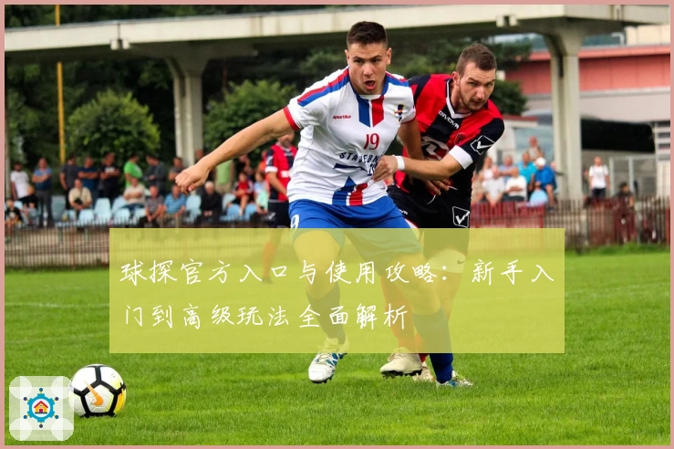 球探官方入口与使用攻略:新手入门到高级玩法全面解析