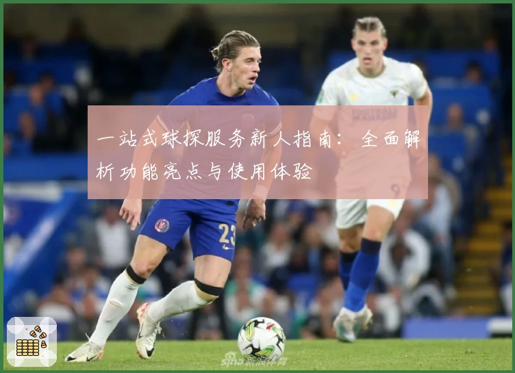 一站式球探服务新人指南：全面解析功能亮点与使用体验