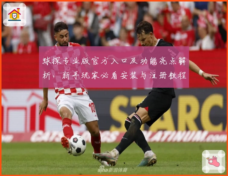 球探专业版官方入口及功能亮点解析，新手玩家必看安装与注册教程