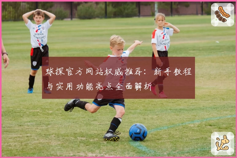 球探官方网站权威推荐：新手教程与实用功能亮点全面解析
