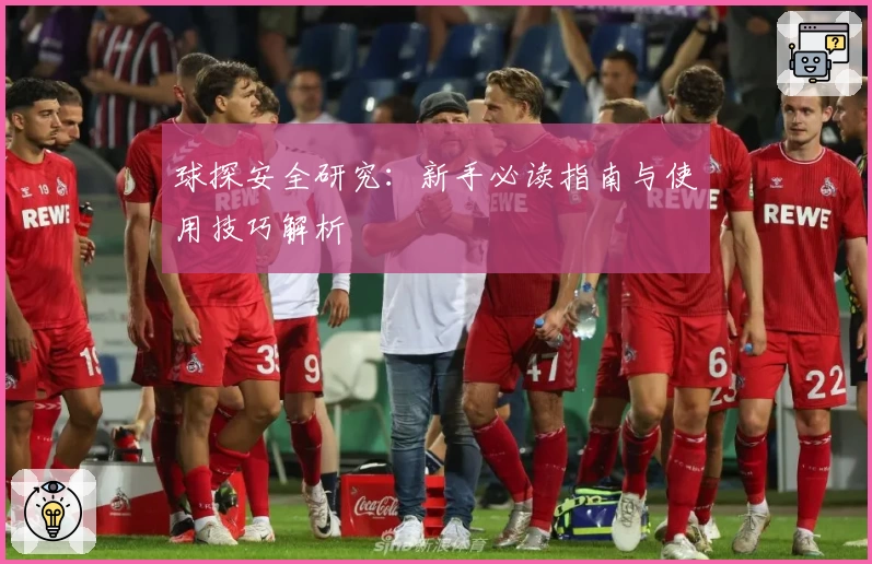 球探安全研究:新手必读指南与使用技巧解析