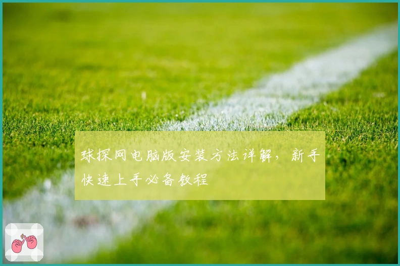 球探网电脑版安装方法详解,新手快速上手必备教程